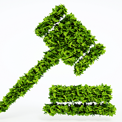 Timeline: LEGISLACIÓN AMBIENTAL