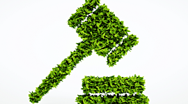 Timeline: LEGISLACIÓN AMBIENTAL