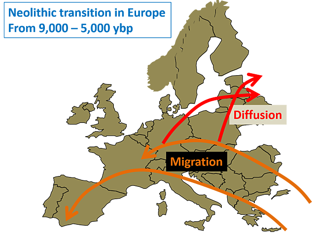 Neolithic migrations
