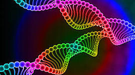 Timeline: LA SCOPERTA DEL DNA