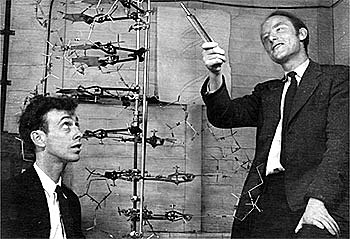 COLLABORAZIONE CRICK E WATSON