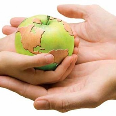 Timeline: HACIA LA ACTUAL SEGURIDAD ALIMENTARIA