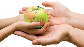 Timeline: HACIA LA ACTUAL SEGURIDAD ALIMENTARIA