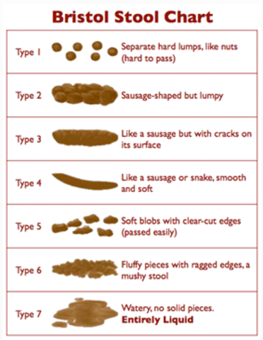 ~ 8:00am Onset of Diarrhoea