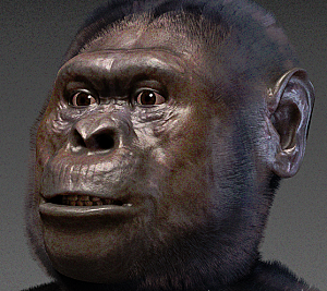 Afarensis