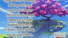 Timeline: Linea del tiempo Lengua y Literatura