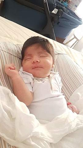 T. J. BOWLBY - FASE DE PREAPEGO