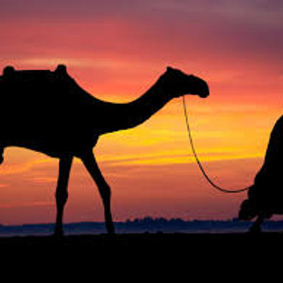 Timeline: Descolonización de Asia y África