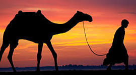 Timeline: Descolonización de Asia y África