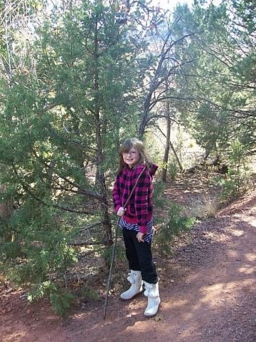 Middle Childhood Milestone Physical