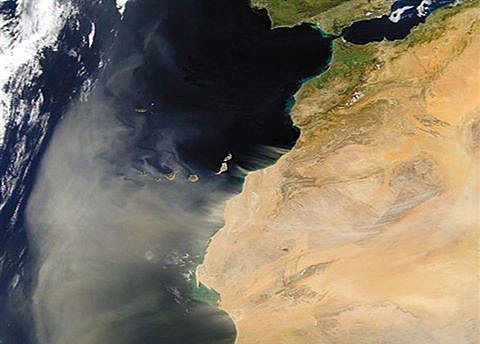 Origen conjunto con el noroeste africano.