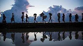 Timeline: Línea del tiempo de refugio y asilo