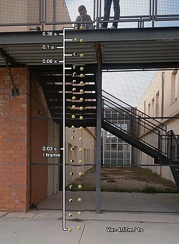 Llei de la caiguda dels cossos