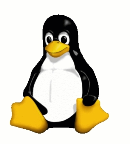 Comienza Linux