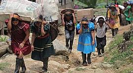 Timeline: Desplazamiento forzado en Colombia