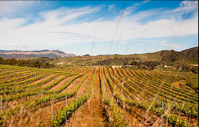 L’agricultura catalana