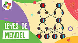 Timeline: Descubrimiento de la estructura del ADN– la historia