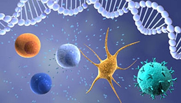 Interacción del ADN