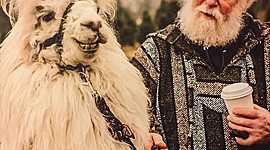 Timeline: Larry and Caesar's Journey