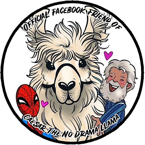 Social Media Popularity