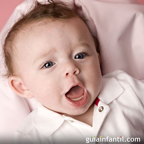 Undécimo y duodécimo mes.