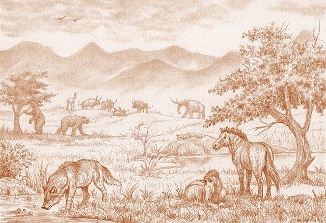The Pleistocene epoch