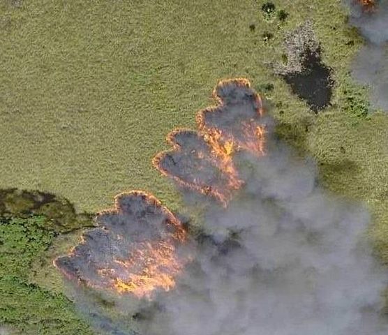 Using Fire To Reduce Hazardous Fuels