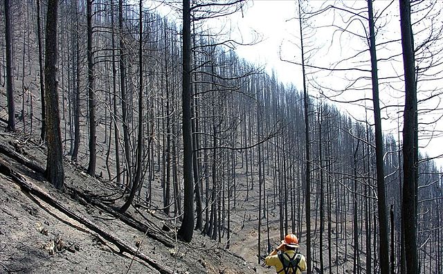 First Studies Of Fire Damage