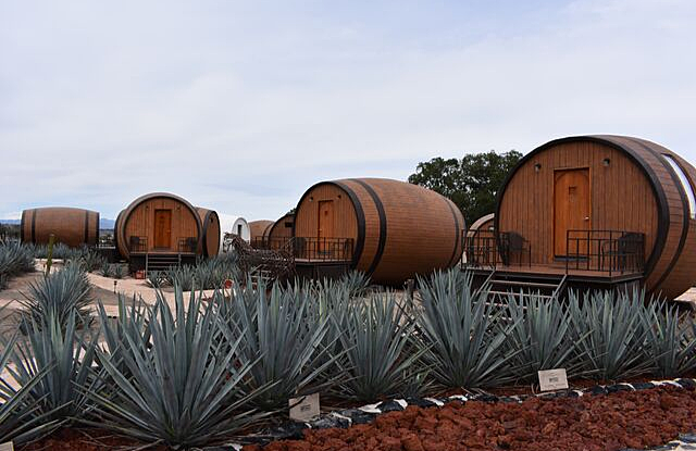 Se obtiene 1era licencia para producir y distribuir tequila en Mex.