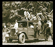 Forest Protection Board Established