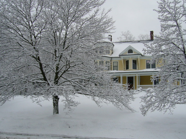 First time see SNOW!! :)