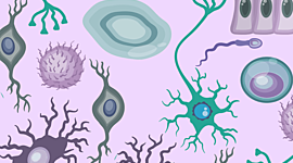 Timeline: ORIGEN Y EVOLUCIÓN DE LA CÉLULA