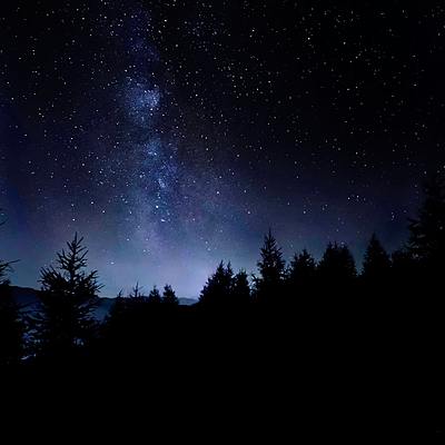 Timeline: Elie's identity- Night