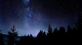 Timeline: Elie's identity- Night