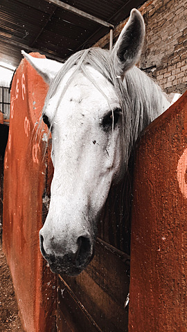 Nuevo comienzo del proyecto