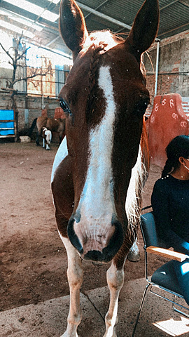 Trabajo personal y de mis compañeros