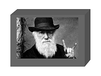Charles Darwin (1809-1882) Y Wallace