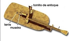 Antonio van Leeuwenhoek