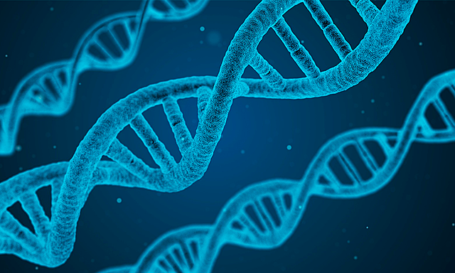 Mattihas Scheiden - Theodor Schwann