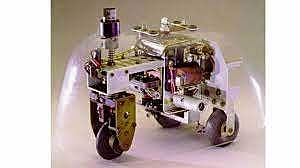 Tortue cybernétique