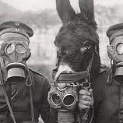 Timeline: Primera Guerra Mundial (1914-1918)