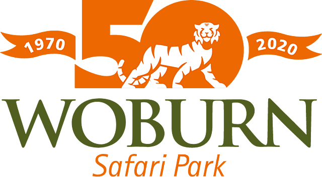 i then went to a safari park