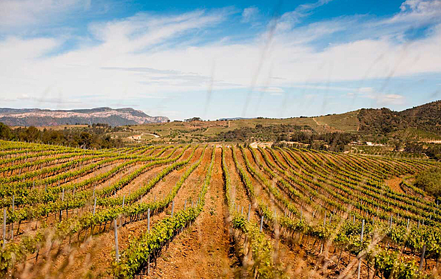 Fi de la crisi econòmica