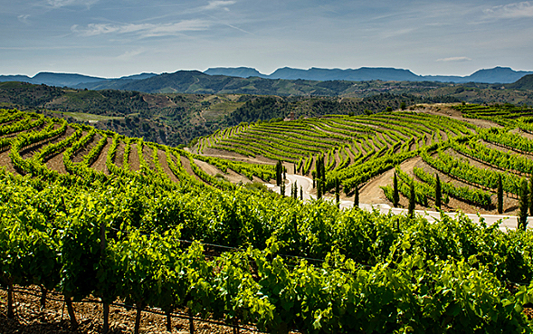 Les primeres indústries de Catalunya