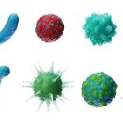 Timeline: Pandemias que han habido