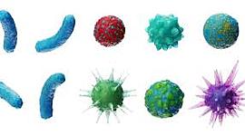 Timeline: Pandemias que han habido