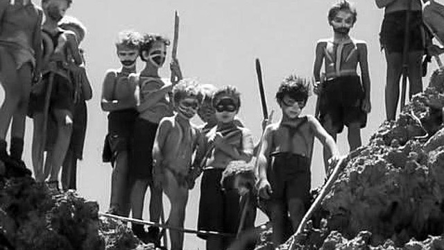 Finally made their first kill