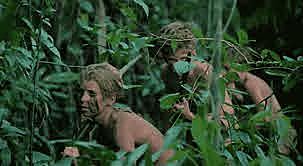 Hunting for the beast