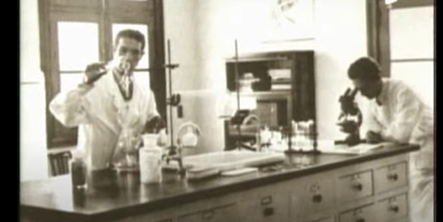 Formación de la Brigada de Investigación y Vigilancia