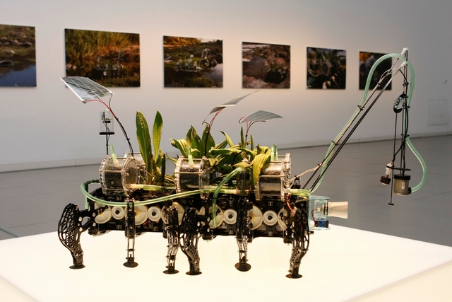 SOME MORE BEGINNINGS